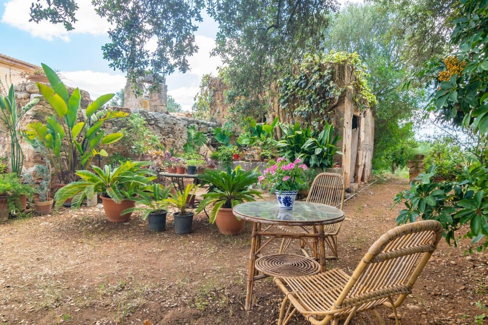 Property building, Patio
