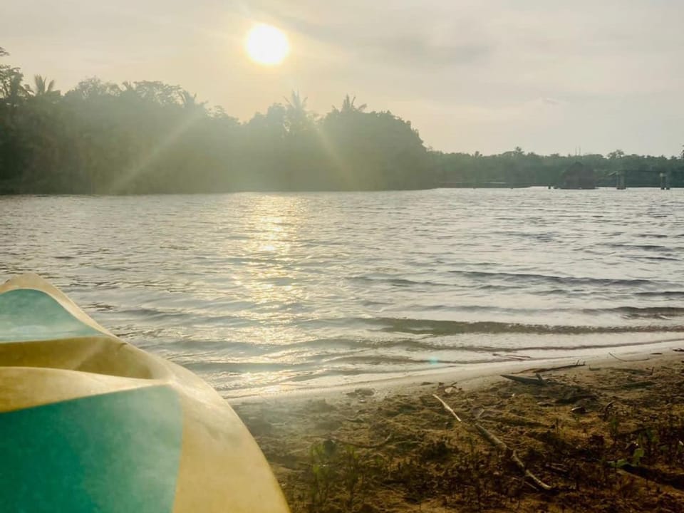Lake view