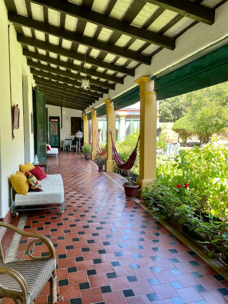 Garden view