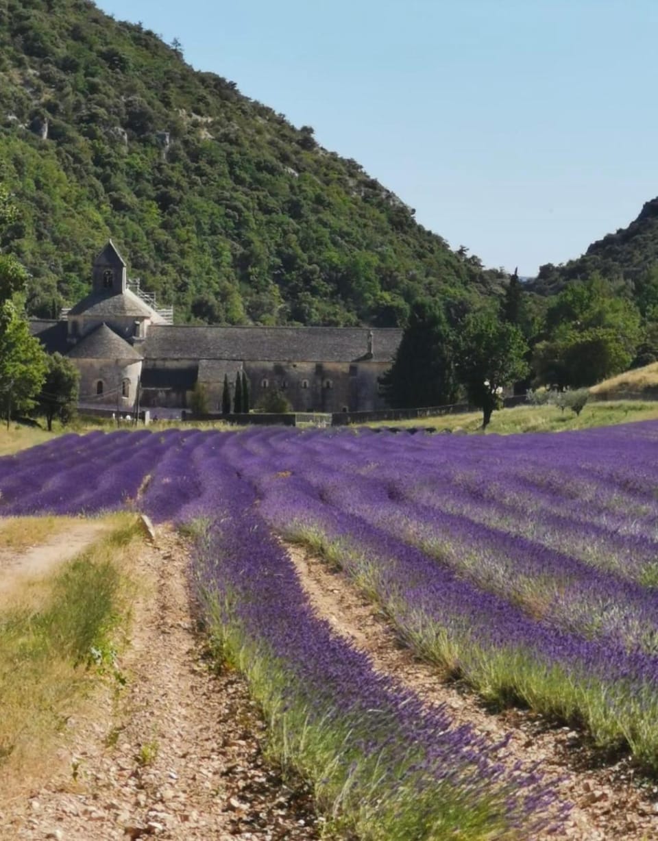 Les Tilleuls Bed and Breakfast in Cavaillon