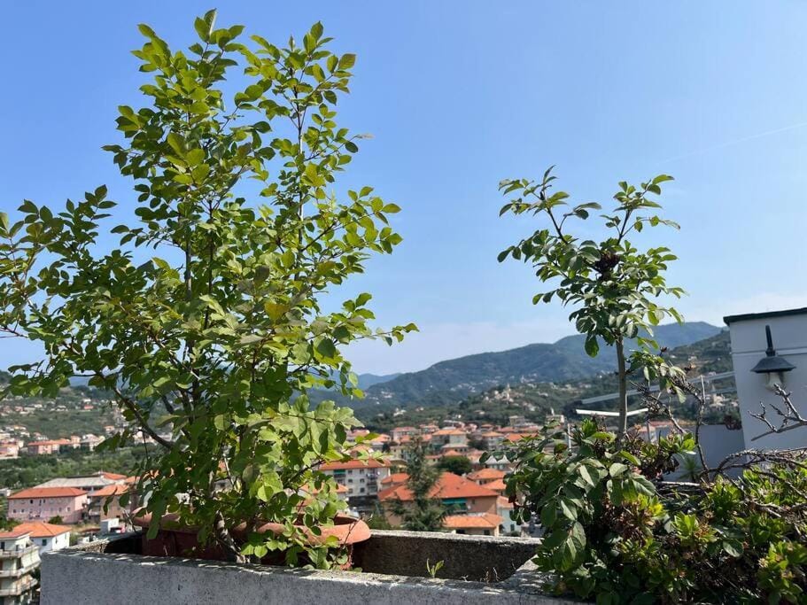 Natural landscape, Mountain view