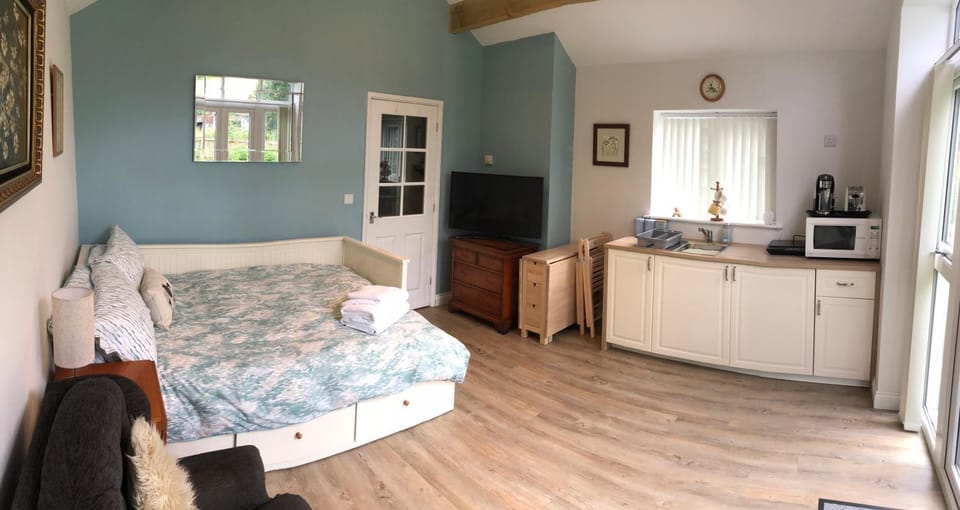 Bed, TV and multimedia, Kitchen or kitchenette, Living room, Photo of the whole room, Bedroom, minibar