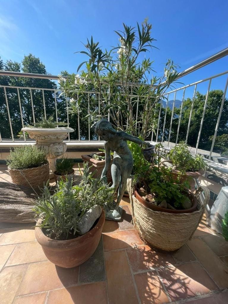 View (from property/room), Balcony/Terrace