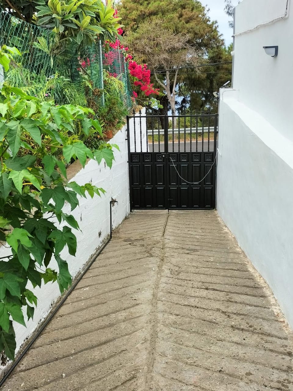 Facade/entrance, Lobby or reception