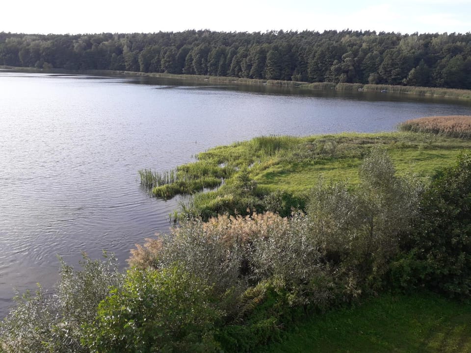 Lake view