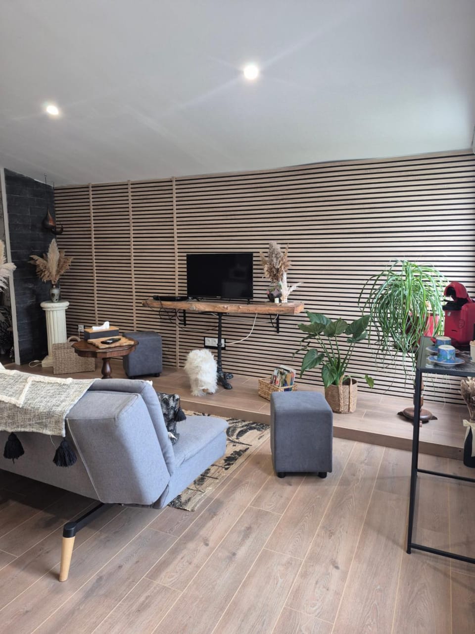 Communal lounge/ TV room
