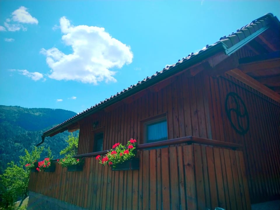 POČITNIŠKA HIŠKA LASTOVKA House in Slovenia