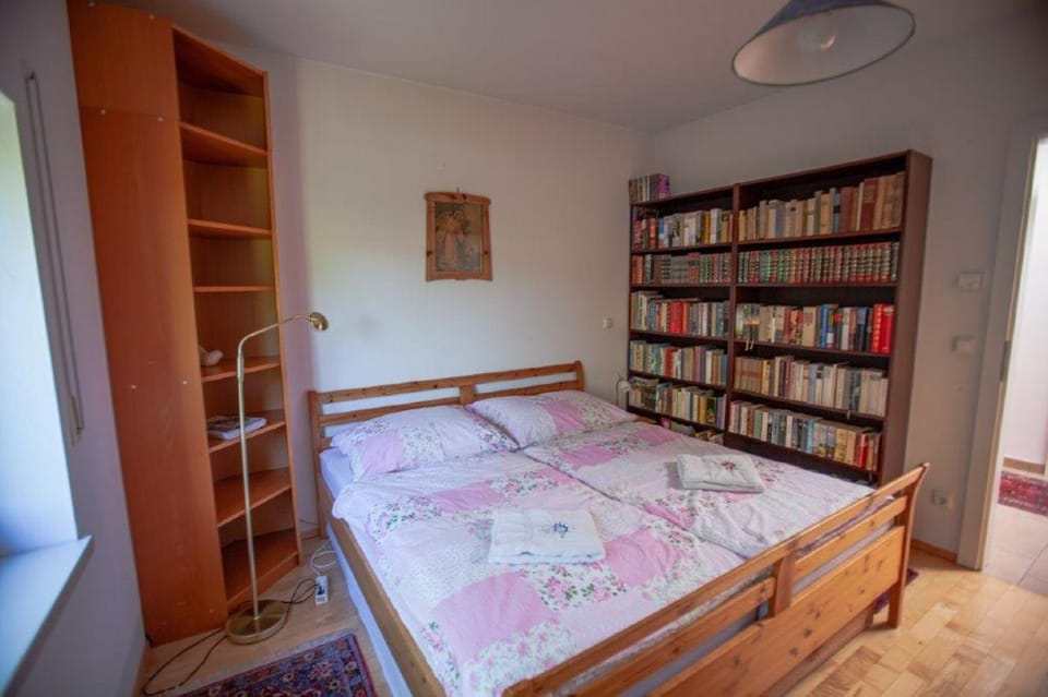 Bed, Library, Photo of the whole room, Bedroom, wardrobe