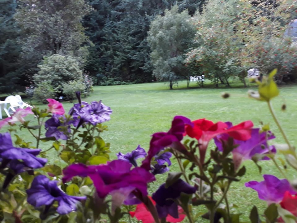 Garden, Garden view