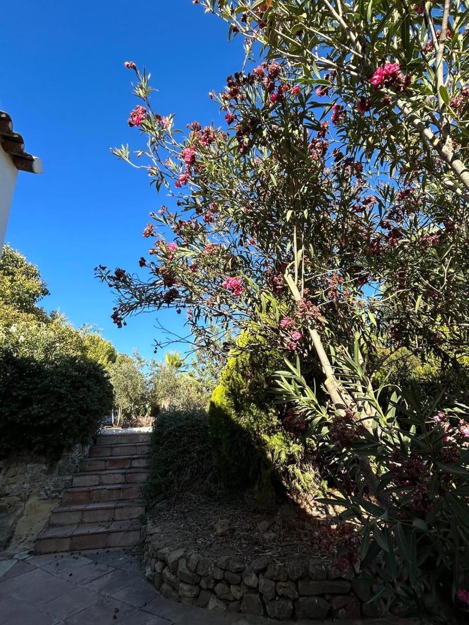 Cortijo Burruelo Chalet in Sierra de Cádiz