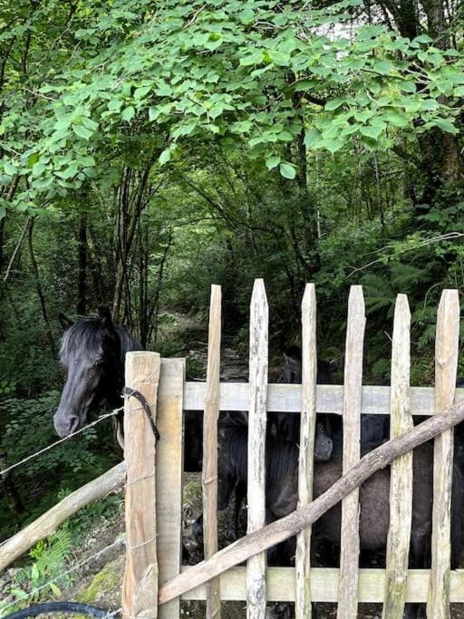Casa Rural Gaztandizabal Country House in Basque Country