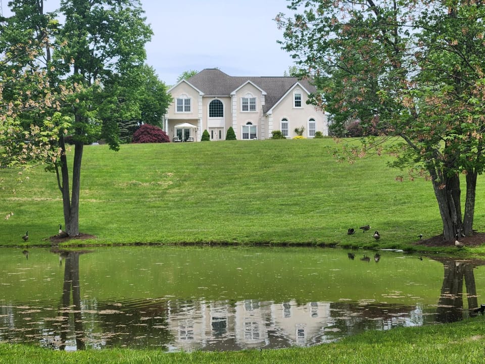 Property building, Spring, Natural landscape, Garden view, Lake view, River view