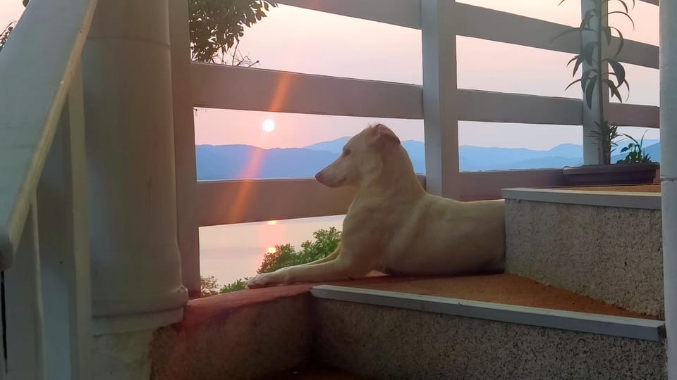 Marković Apartments (vidikovac) Apartment in Serbia