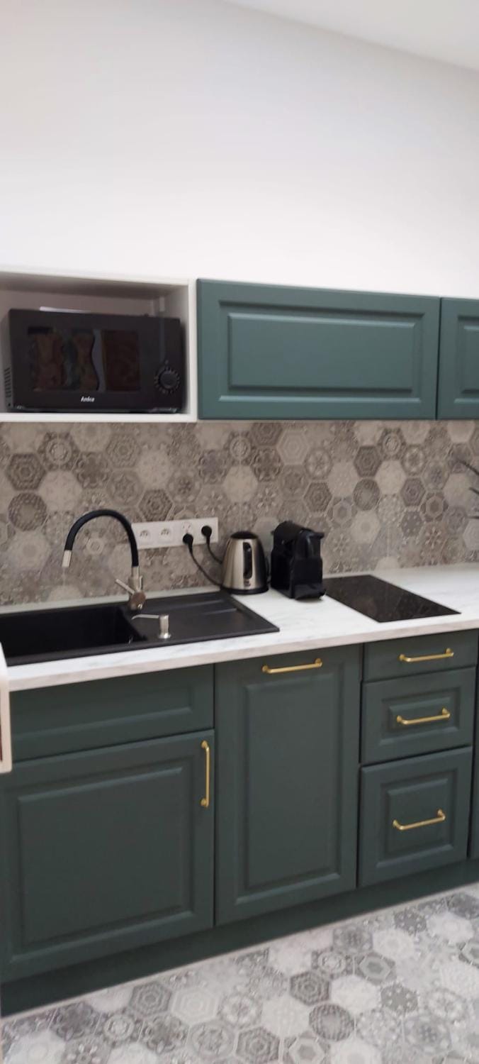 Kitchen or kitchenette, minibar, pet friendly, stove