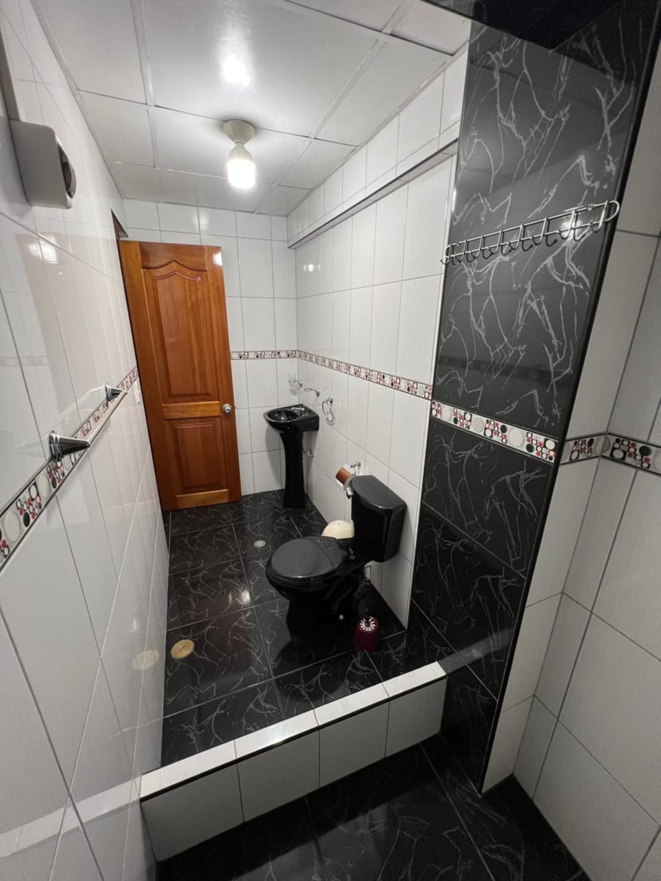 La Casa de Danfer-A un paso de la Plaza Apartment in Oxapampa