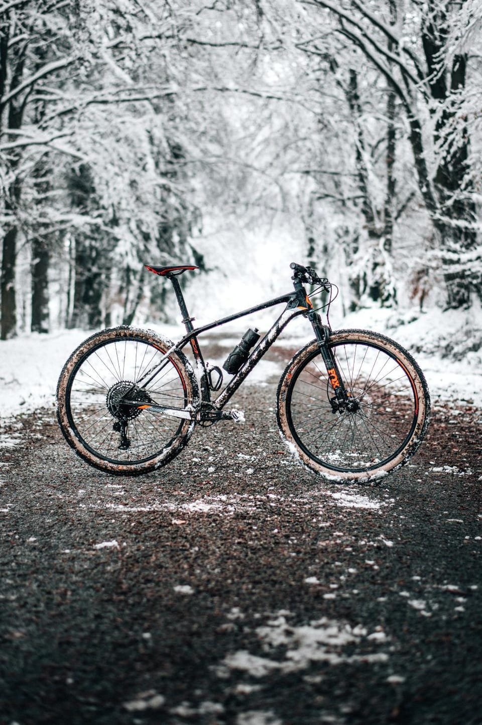 Activities, Cycling