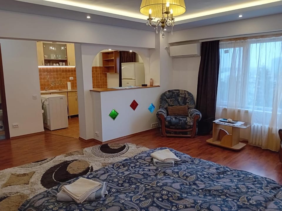 Elixir studio Apartment in Bucharest