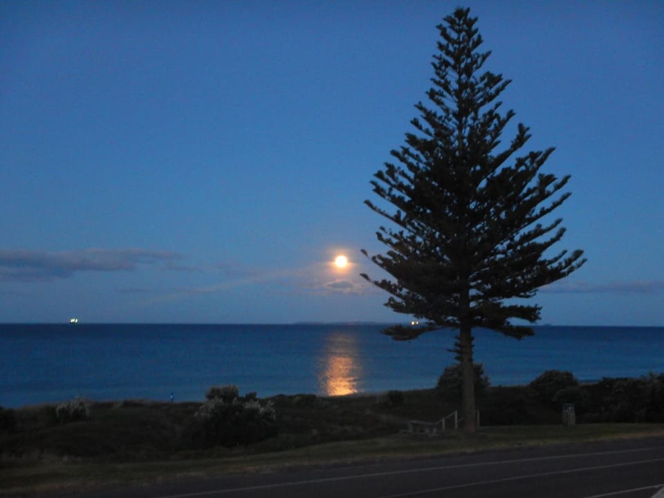 Night, Sea view