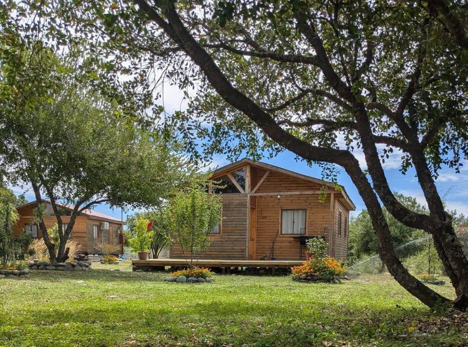 Cabañas Llepu House in Maule
