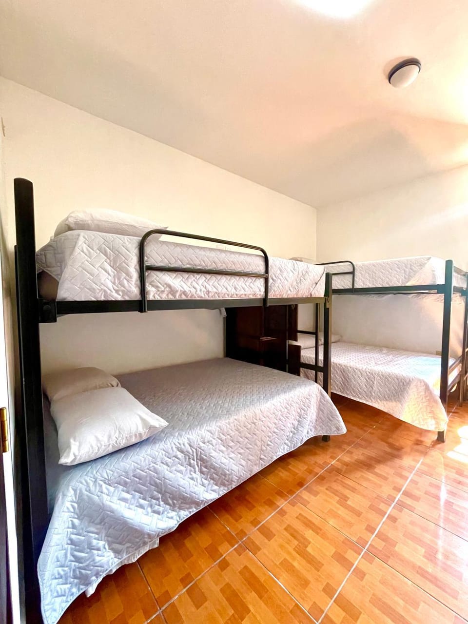 Bed, Photo of the whole room, Bedroom, bunk bed