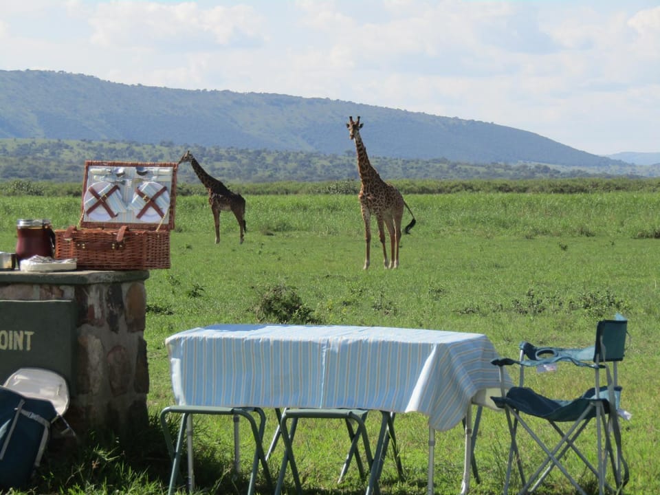Akagera guide's House Vacation rental in Africa