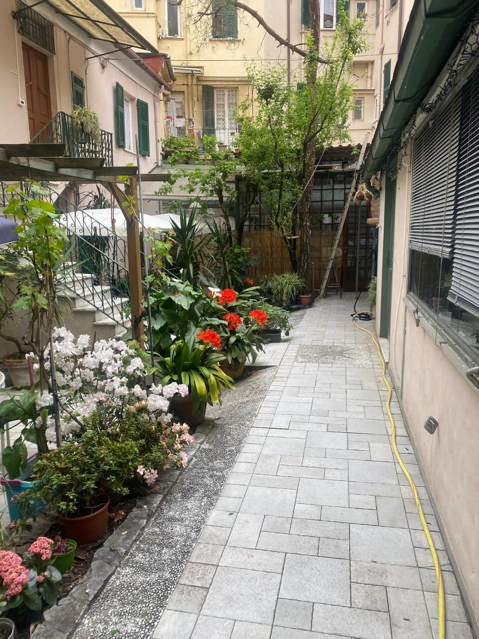 Il Giardino degli Oleandri Apartment in La Spezia