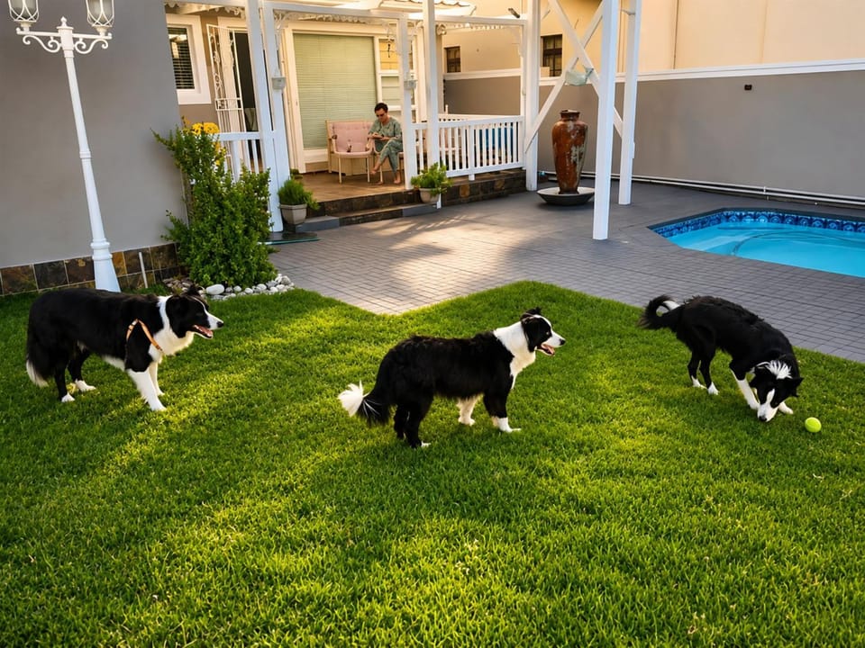 Garden, Pets, Pool view, Swimming pool, pet friendly