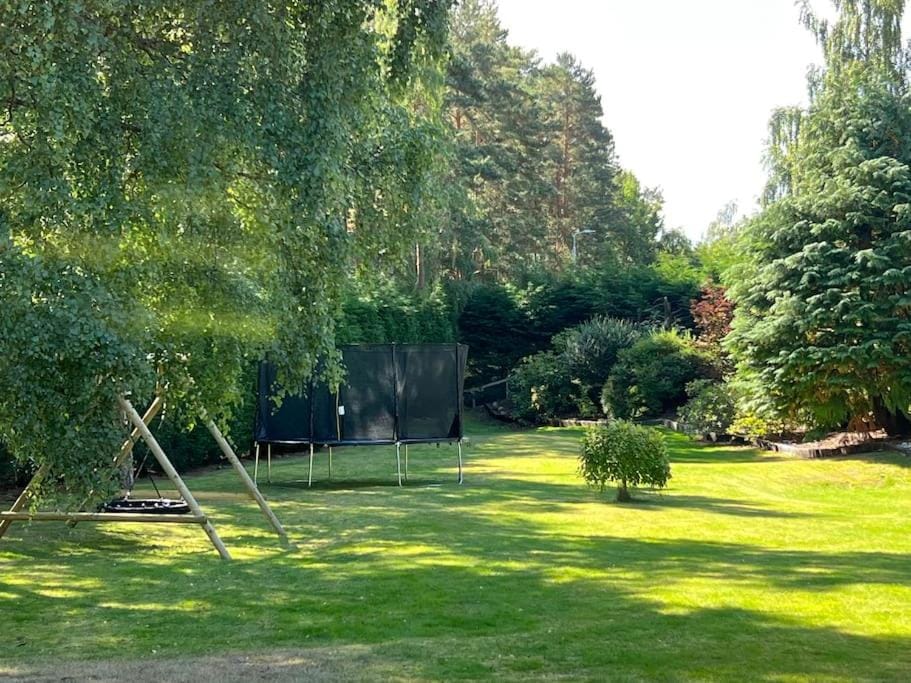 Natural landscape, Garden, Garden view