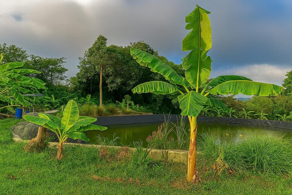 Natural landscape