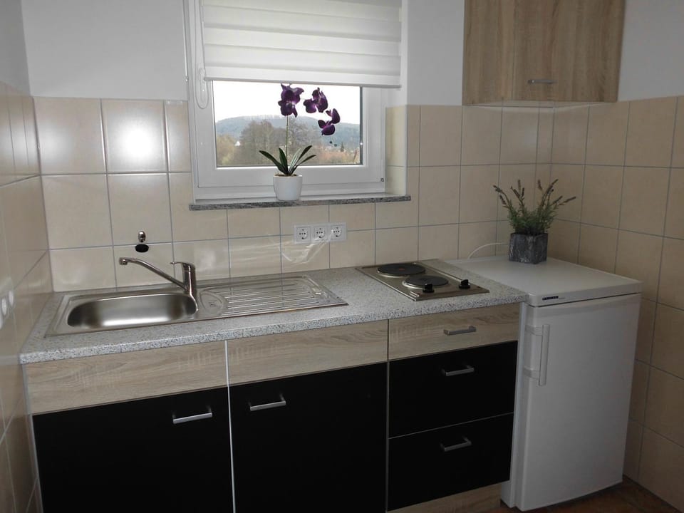 Ferienhaus Kiesel Apartment in Thuringia, Germany