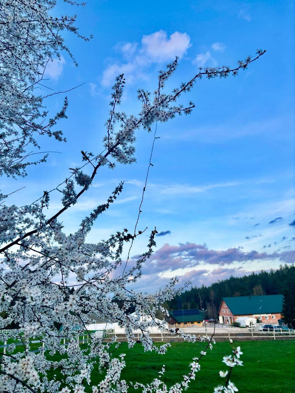 Folwark Toporzysko Farm Stay in Lesser Poland Voivodeship