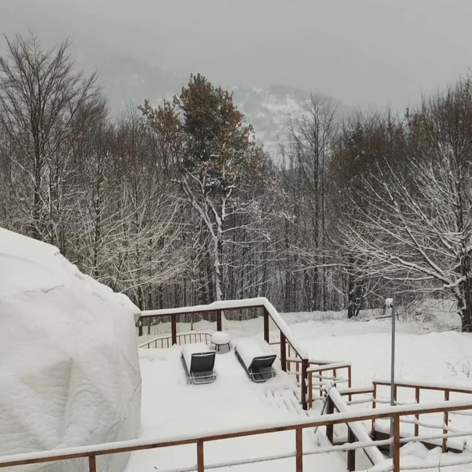 Natural landscape, Winter