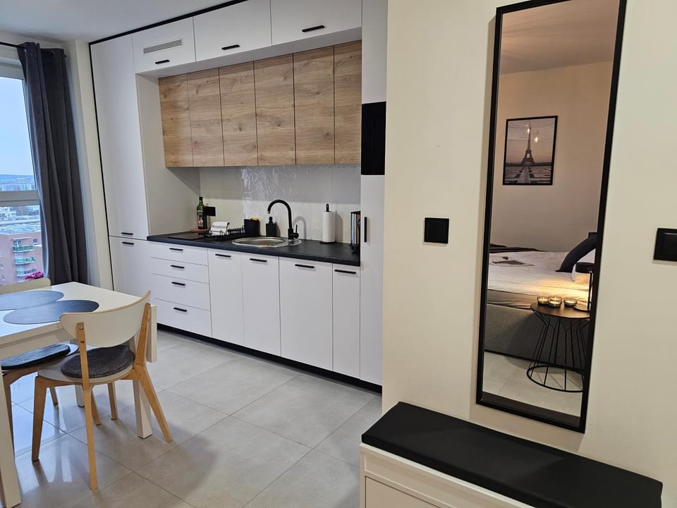 Kitchen or kitchenette, oven