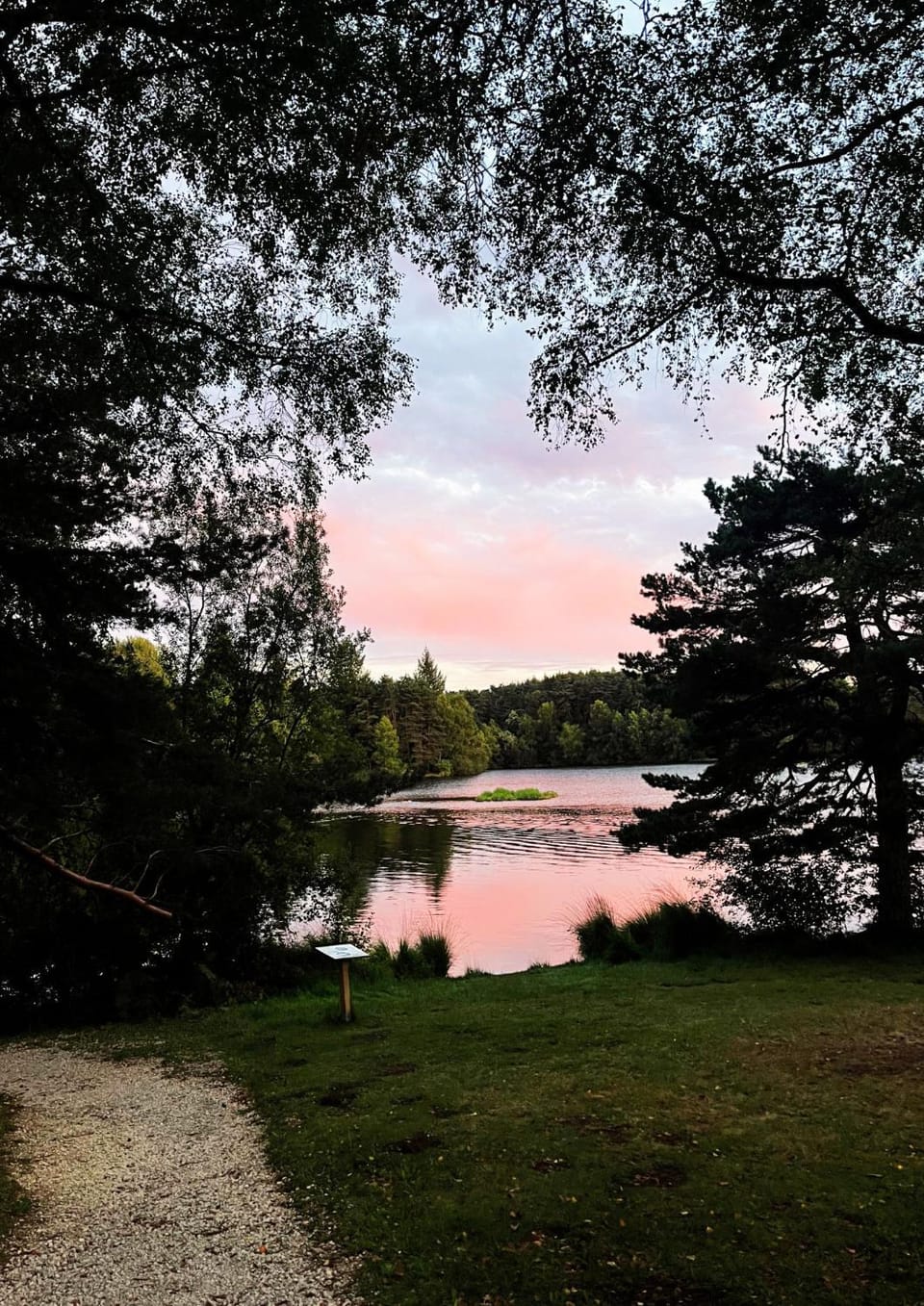 Lake view