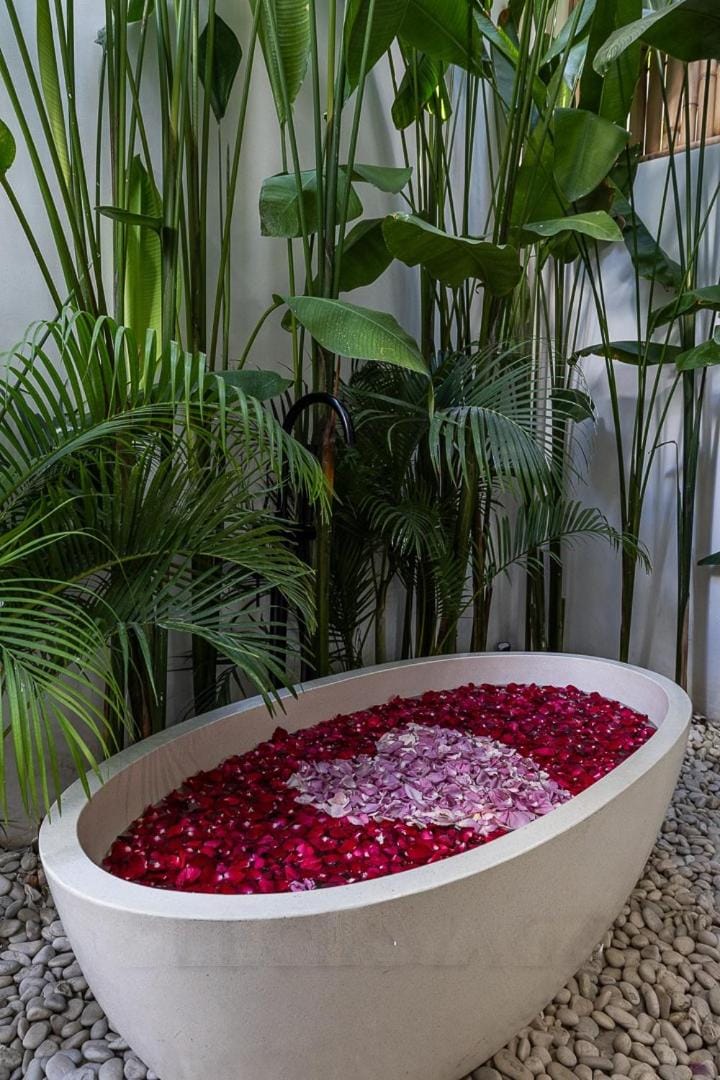 Garden, Hot Spring Bath, Open Air Bath, Bath