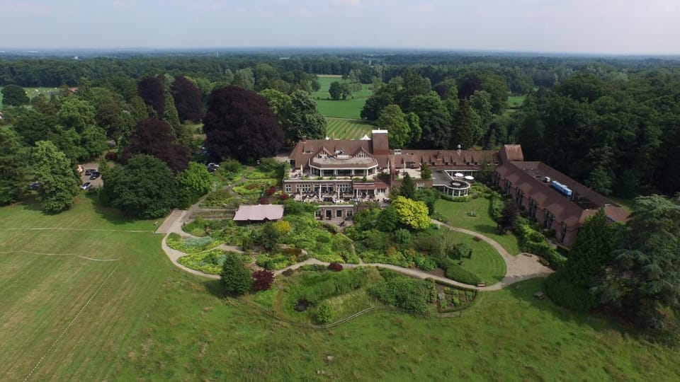 Bird's eye view, View (from property/room), Decorative detail, On site, Garden view