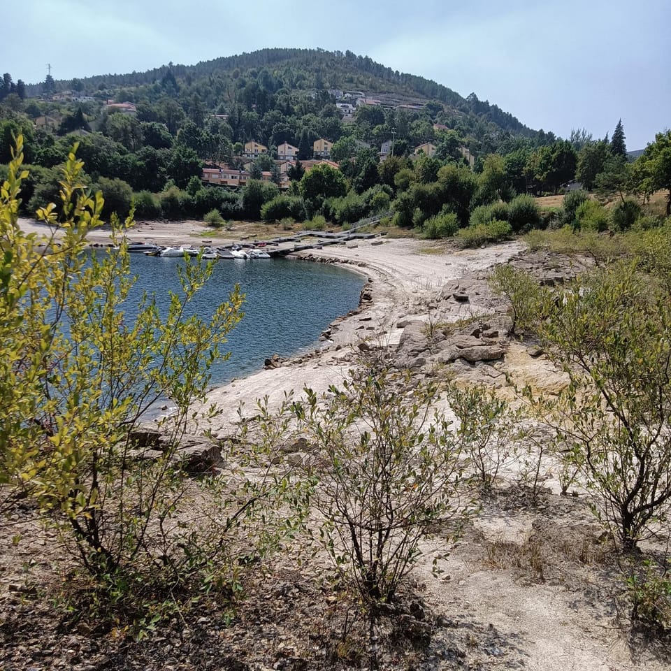 Lake view