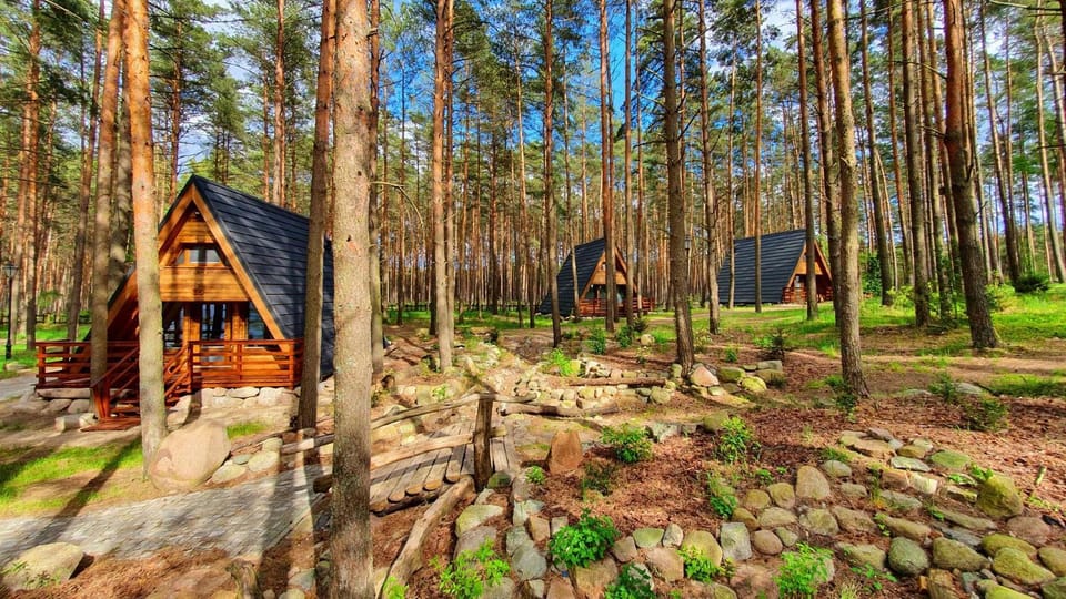 Property building, Spring, Day, Natural landscape, Summer, Garden, View (from property/room), View (from property/room), Garden view, Garden view