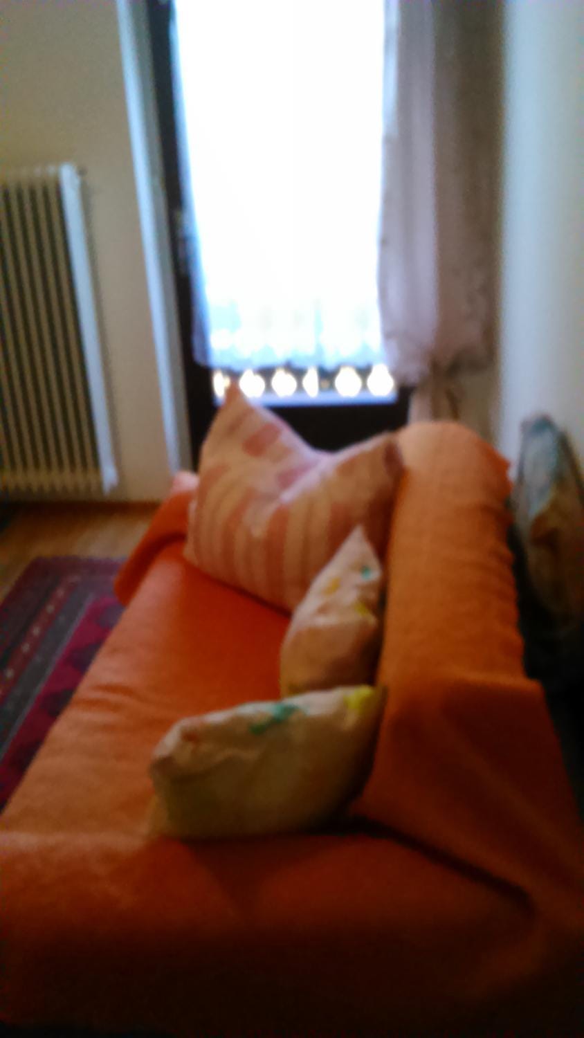 Apartments Boris Apartment in Bled