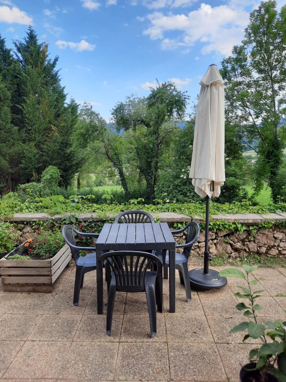 Garden view