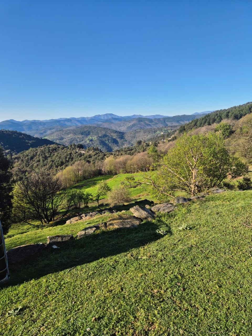 Cabane en Cévennes Nature lodge in Occitanie