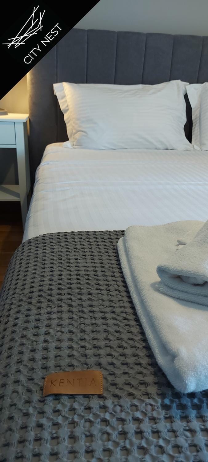 Citynest studio Apartment in Ioannina