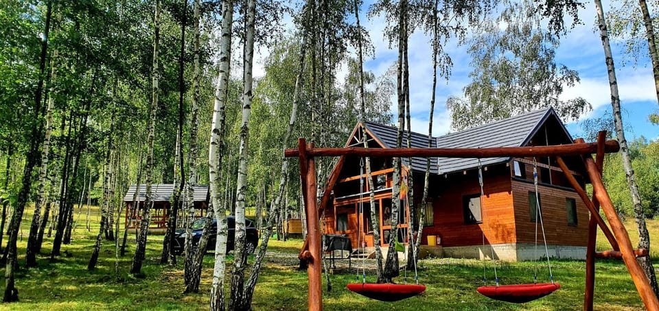Cabana cu Mesteceni House in Romania