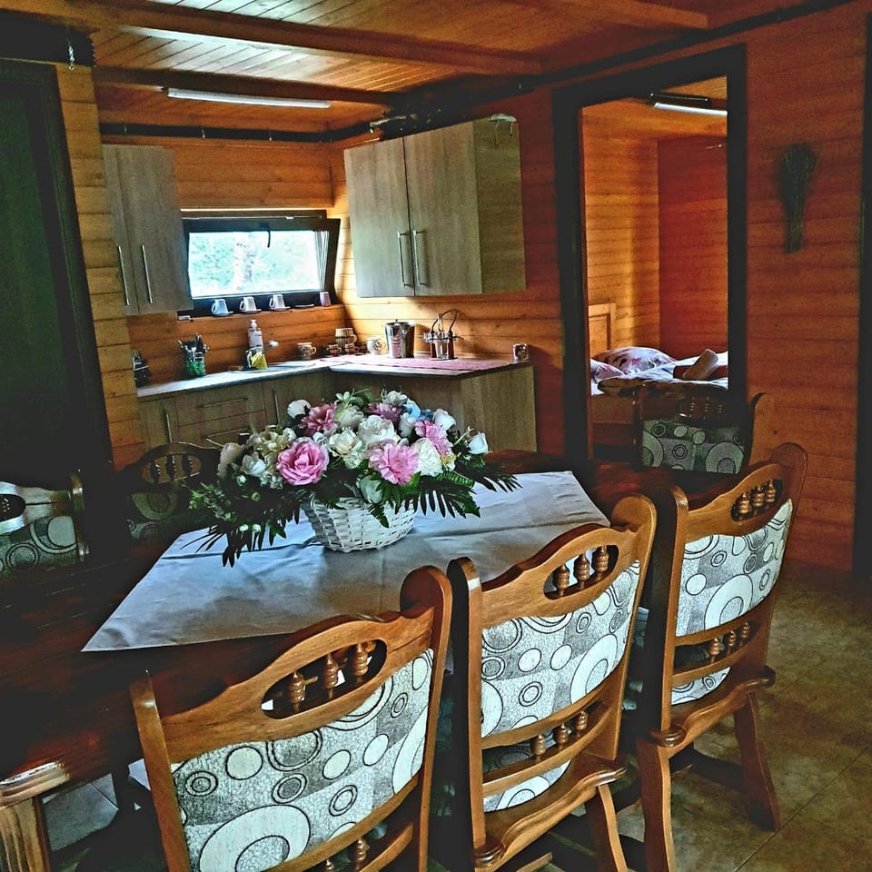 Cabana cu Mesteceni House in Romania