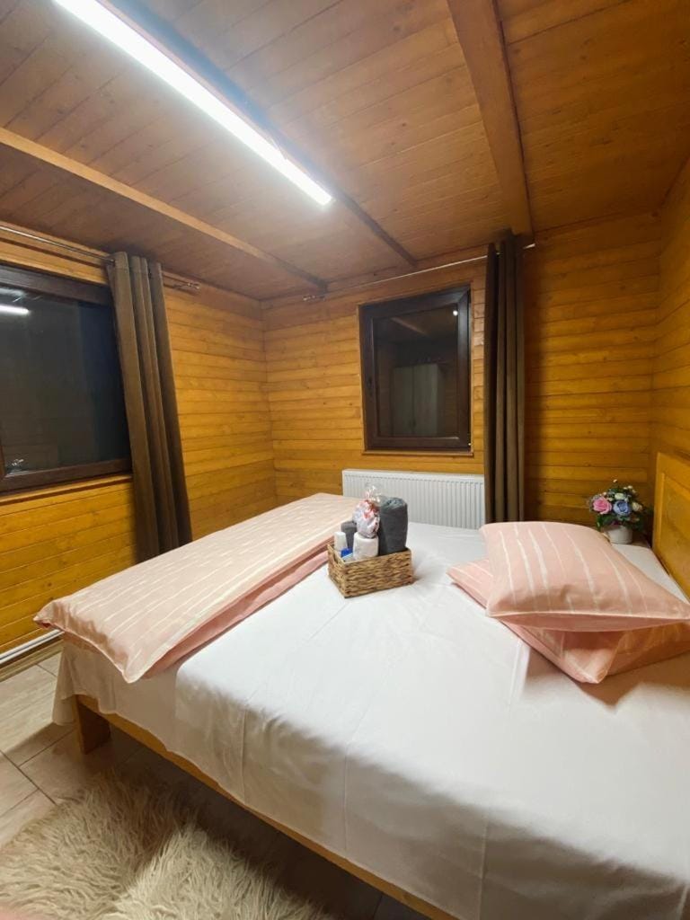 Cabana cu Mesteceni House in Romania
