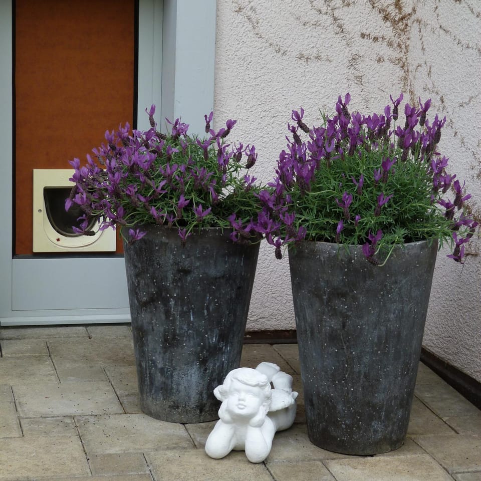 Decorative detail