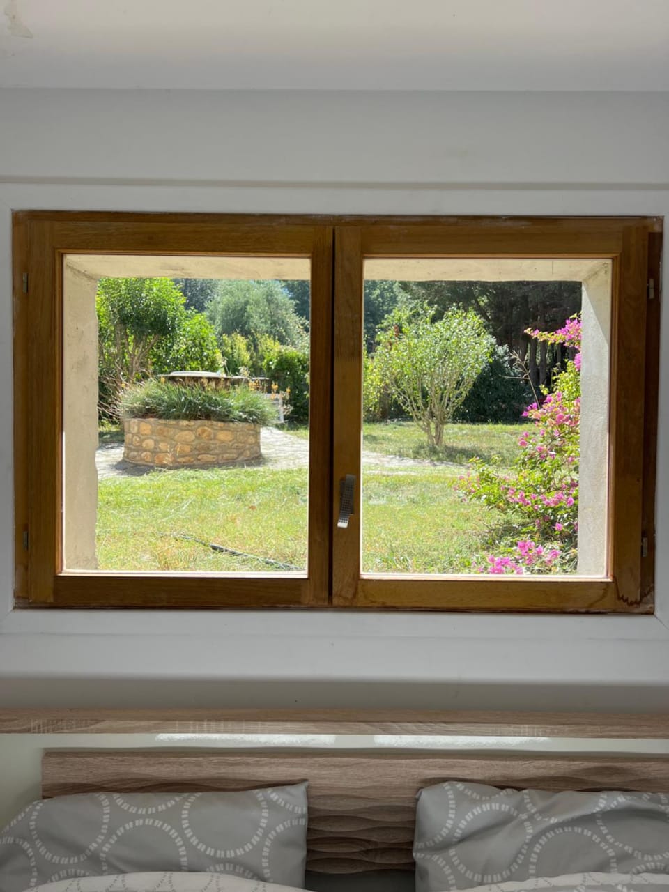 Garden view