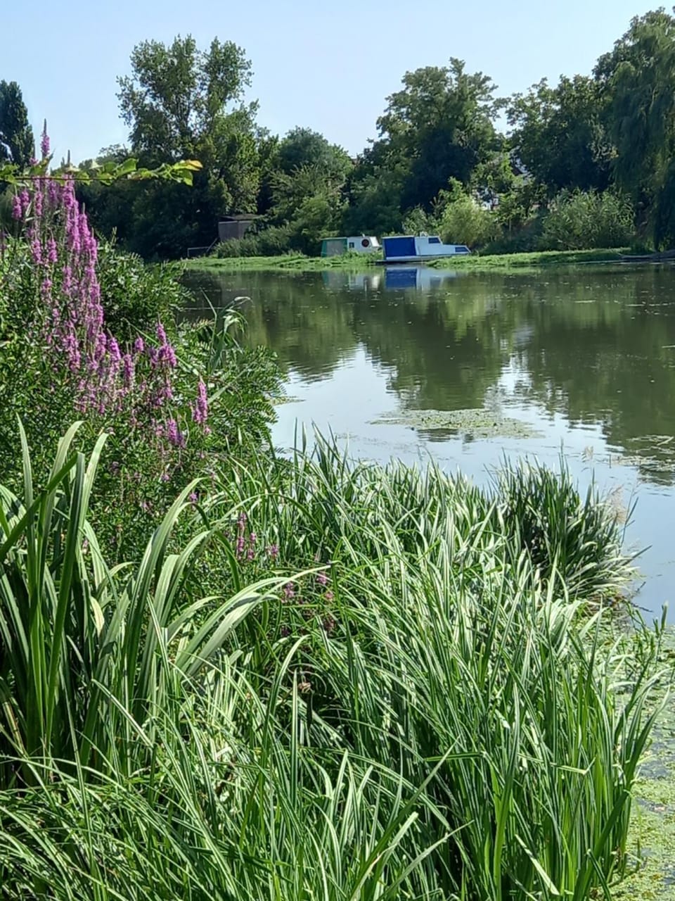 Apartman Lola Ruža Apartment in Timiș County