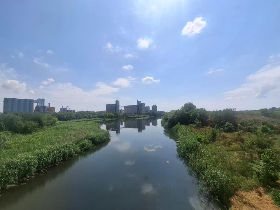 Apartman Lola Ruža Apartment in Timiș County