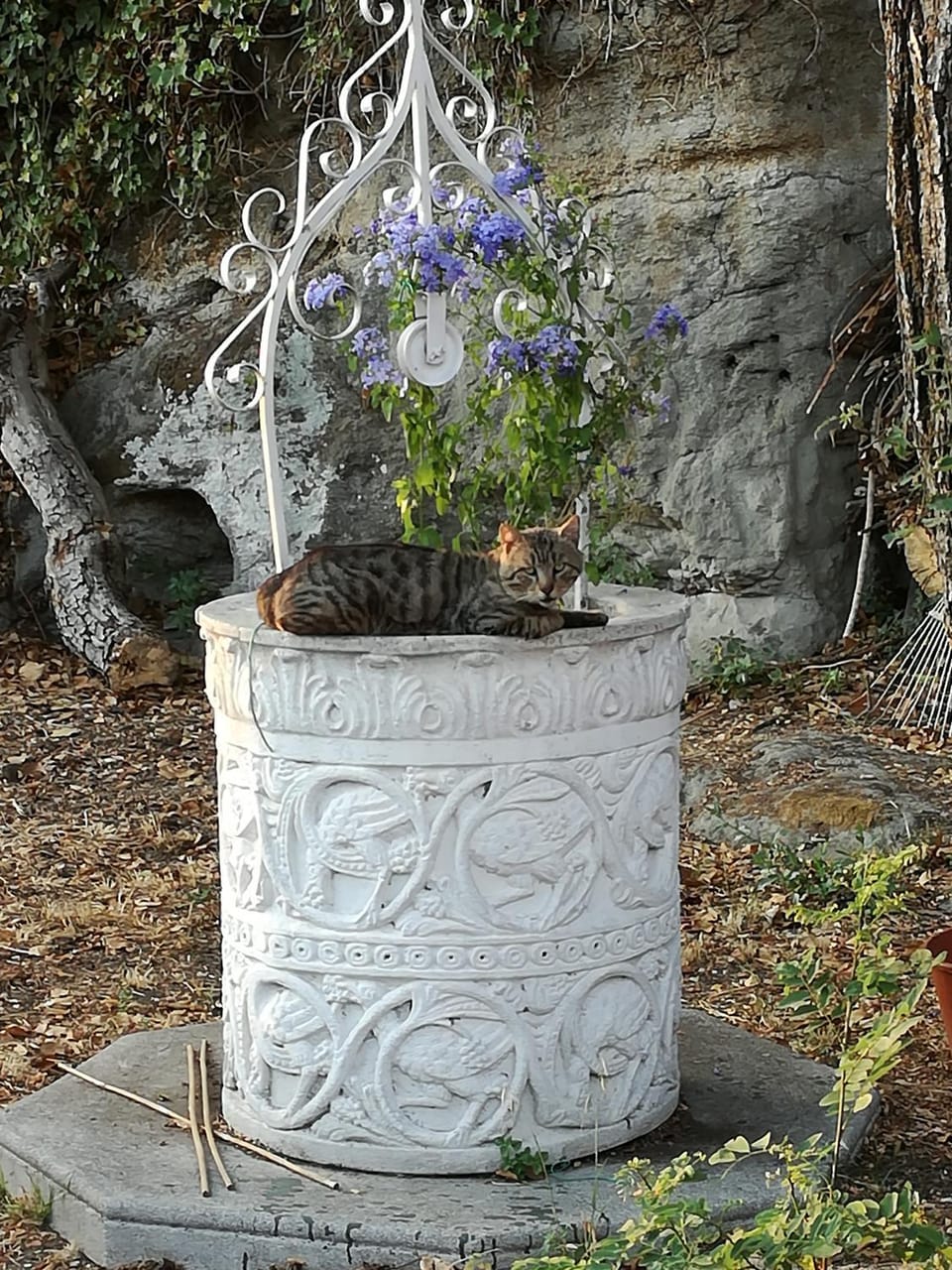 Affittacamere Villa Drusilla Bed and Breakfast in Rome